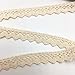 ELLAMAMA Cotton Lace Trim DIY Craft Delicate Ribbon Scallop Edge 1/2 Inch Wide 10 Yards for Scrapbooking Gift Package Wrapping, Beige Color