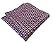 Shlax&Wing Floral Multicolor Pocket Square Mens Hankies Hanky