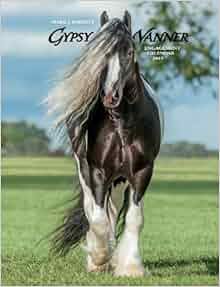 Gypsy Vanner Horse 2015 Engagement Calendar Willow Creek