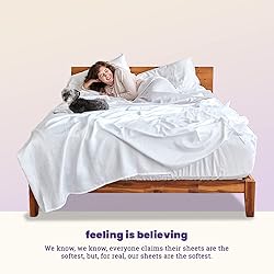Sheets & Giggles 100% Eucalyptus Lyocell Sheet Set