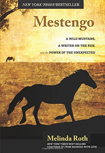 Mestengo: A Wild Mustang, A Writer On The Run, And The Power Of The Unexpected by Melinda Roth