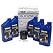 Yamaha Yamalube Watercraft 10W-30 Oil Change Kit, #LUB-MRNMR-KT-10