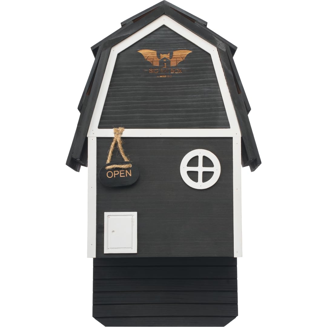 Big Bat Box - Bat Barn Junior 2 Chamber, Compact Bat House for Outside - Artificial Roost Kit for Wall-Mount - Bat Houses for Backyards
