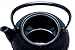 Iwachu Japanese Iron Tetsubin Teapot, Hobnail, Black