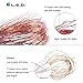 LOENDE 33ft 100 Led String Lights Dimmable, Cooper Wire Starry String Lights with Remote Control for Bedroom, Restaurant, Bars, Frames, Holiday, Party, Wedding Decorations (Warm White)