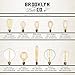 Tubular LED Edison Bulb, Dimmable - 3 Watt T9 Vintage Light Bulb, E26 (Medium) Base, Warm White 2200k, Long Tube Style, Hairpin Filament, Cobble Hill Collection