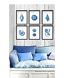 Blue Seashells Decor Art Prints Set of 6 unframed Beach Coastal Decor Wall Art