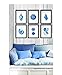 Blue Seashells Decor Art Prints Set of 6 unframed Beach Coastal Decor Wall Art