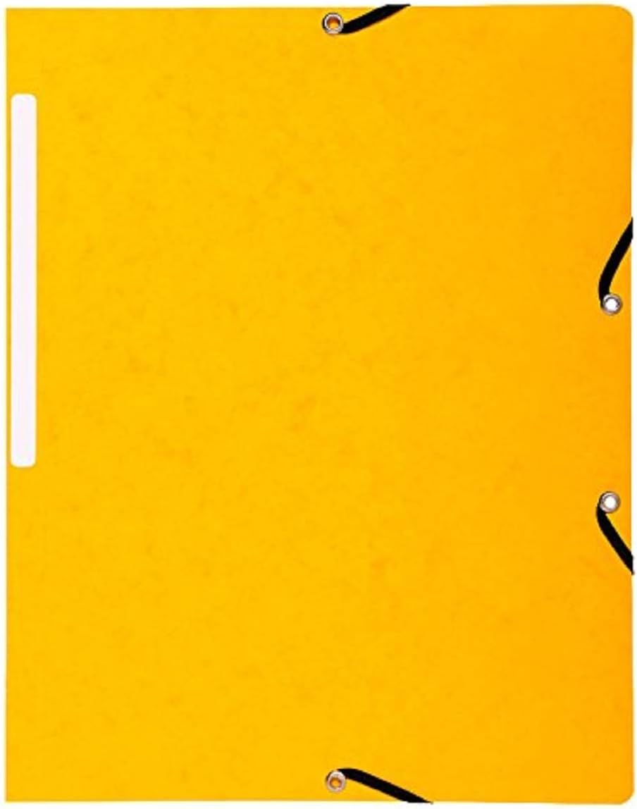 Exacompta, Ref 55419E, Elasticated Folders, Suitable for Storing A4 Documents, 355gsm Glossy Card, Spine Label