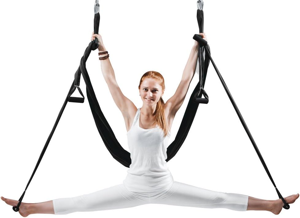 EUROSPORTS High Load Capacity Aerial Yoga Swing/Inversion/Hammock/Sling for Flying Antigravity with a Carrying Bag