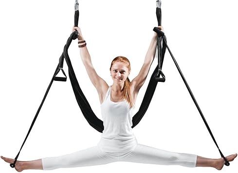 EUROSPORTS High Load Capacity Aerial Yoga Swing/Inversion/Hammock/Sling for Flying Antigravity with a Carrying Bag