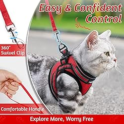 rabbitgoo Cat Harness and Leash Set for Walking