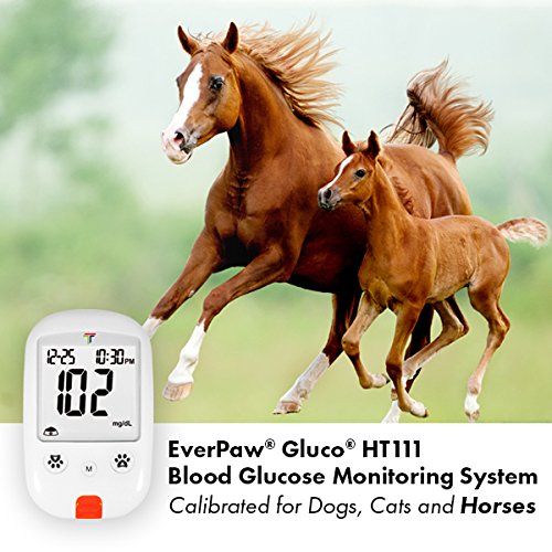 EverPaw Gluco HT111 Blood Glucose Diabetes Monitoring System for Dogs, Cats & Horses - Thumbnail 6