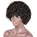 AISI HAIR Curly Wig Short Afro Kinkys Curly Hair Wig Natural Black Short Curly Wig African American Wigs Curly Afro Wig for Black Women