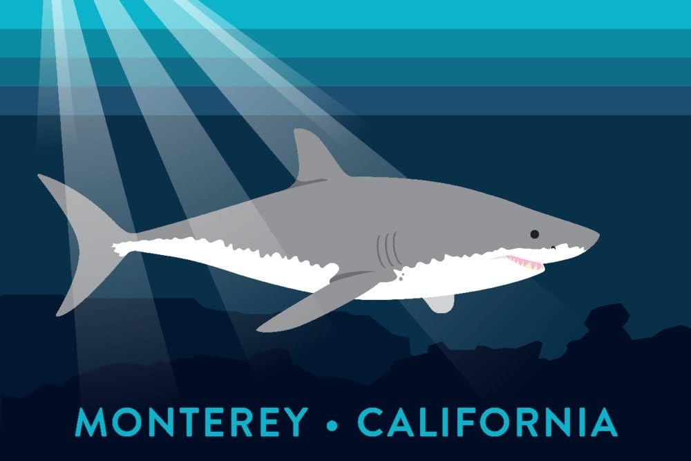 Monterey, California - Great White Shark - Vector Style (16x24 Fine Art Giclee Gallery Print, Home Wall Decor Artwork Poster)
