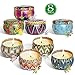 YIHAN Scented Candles Lemon, Lavender, Mediterranean Fig,Bergamot,Vanilla,Jasmine,Rose and Spring Fresh,Natural Soy Wax Portable Travel Tin Candle,Set Gift of 8