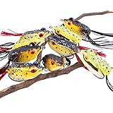 Sougayilang Hollow Frog Fishing Lures Soft Topwater Baits with Tackle Box for Bass Snakehead Saltwater Freshwater Fishing (9Pcs Frog Lures)
