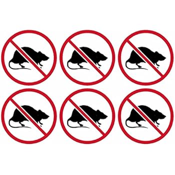 Amazon.com: 6-2"x2" No Rats Union Decal Pack Labor Vinyl Hard Hat