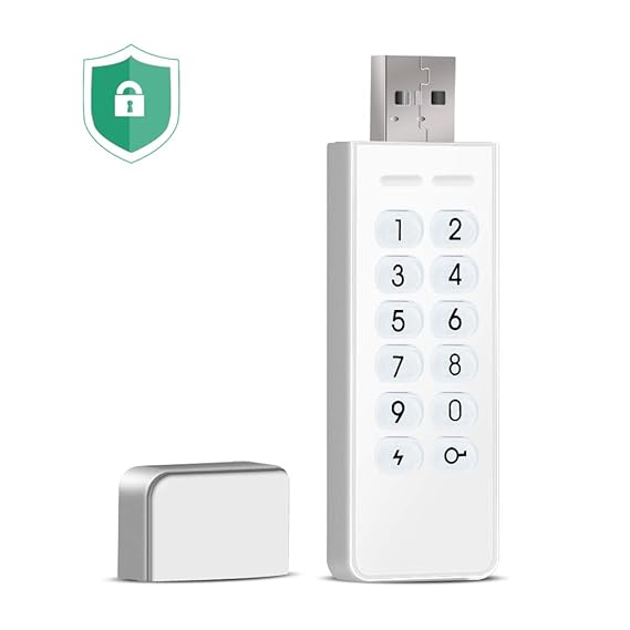 USB Stick verschlüsselt, Lepin verschlüsselte Flash-Laufwerk 16 GB 256-Bit-AES-XTS-Hardware verschlüsselt die erweiterte (Wei