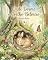 Livro Onde Dorme o Coelho Belmiro?: Onde Dormem os Animais - Livro 2