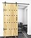 DIYHD 5ft Rustic Black Bent Straight Barn Wood Closet Interior Sliding Track Hardware, Single Door kit