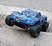RC Cars, All Terrain Remote Control High-Speed Telecar, Offroad 2.4Ghz 2WD Remote Control Monster Truck, Best Christmas Gift for Kids and Adults(Blue truck)
