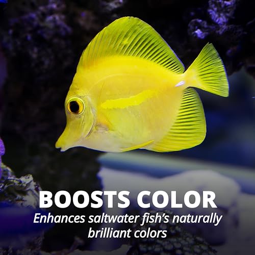 TETRA TETRAMARINE LARGE SALTWATER FLAKES FOR ALL MARINE FISH