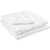 Madison Park Windom Down Alternative Blanket, Premium 3M Scotchgard Moisture Wicking Treatment, Lightweight and Soft Bed Cover For All Season, Satin Trim, White Twin