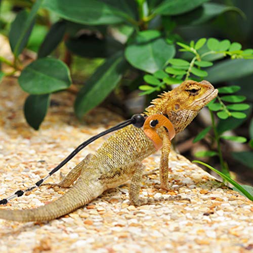 6 Mihachi+Adjustable+Bearded+Harness+Amphibians