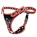 Strapon Dildo 3 Removeable Silicone Dildos with Harness Belt Sohimi SM Sex Toys for Men and Women, Female Massage Masturbation Toys Strap on Harness Dildos for Women & Lesbian Couples