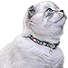 CollarDirect Cat Collar Breakaway with Removable Bell Set of 2 PCS Tribal Pattern Aztec Pet Safety Adjustable Kitten Collar