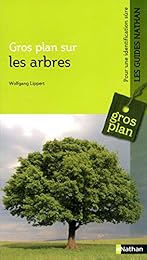 Les  arbres