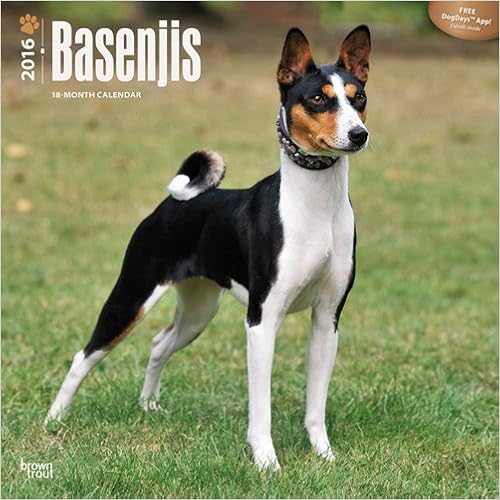 Httpswwwiriboga 2019 09 23t1534580000 Daily 10 - 