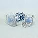 Lunaura Baby Keepsake - Set of 12 