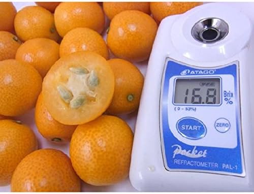 Amazon 送料無料 鹿児島県 完熟きんかん 春姫 L 2lサイズ 約4kg 約2kg 2箱 糖度16度以上 予約 2月下旬以降 くらし快援隊 みかん 柑橘類 通販