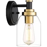 zeyu 1-Light Bathroom Sconces Wall Lighting, Modern Vanity Wall Lamp, Black and Gold Finish with Clear Glass Shade, ZG33B BK+