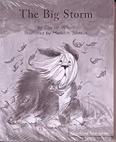 The Big Storm; Leveled Literacy Intervention My Take-Home 6 Pak Books (Book 69 Level F, Fiction) Green System, Grade 1 (Orson and Taco Series) 0325019002 Book Cover