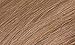Naturtint 8G Sandy Golden Blonde Permanent Hair Color (Pack of 6), Ammonia Free, Vegan, Cruelty Free, up to 100% Gray Coverage, Long Lasting Results (Packaging may vary)