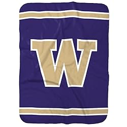 University of Washington Primary Logo Stripes