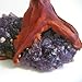 Beverly Oaks Amethyst Geode Crystal Cluster Wire Tree of Life Art Twin Spirit Tree
