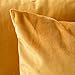 MIULEE Pack of 2 Velvet Soft Solid Decorative Square Throw Pillow Covers Set Cushion Case for Fall Sofa Bedroom Car 16x16 Inch 40x40 Cm Gold
