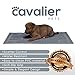 Cavalier Pets, Bowl Mat for Cat and Dog, Silicone Non-Slip Absorbent Waterproof Dog Food Mat, Easy to Clean, Unique Paw Design