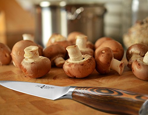 4 TUO+Cutlery+Utility+Knife+Pakkawood