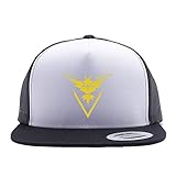 Pokemon Go Hat Team Valor Trucker Hat Snap Back