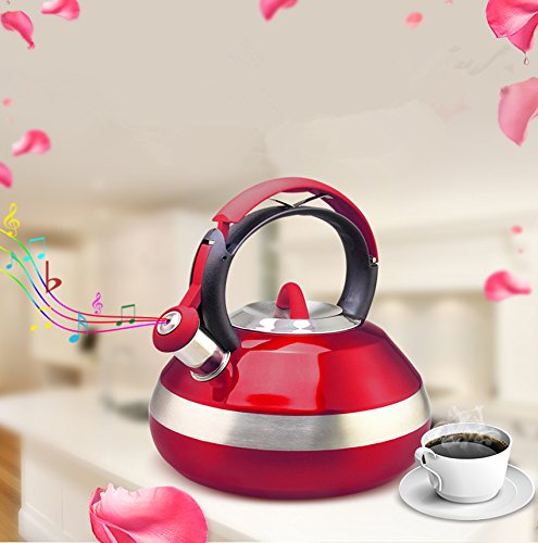 Whistling Tea Kettle - 3 Quart Tea Pot Stainless Steel Tea Kettle for Electric or Gas Stovetop - Cool Cute Modern Tea Kettle Stove Top Teapot Hot Water Whistle - Small Retro Metal Tea Kettle