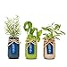 Thoughtfully Mason Jar Herb Garden | Contains Rosemary, Basil and Sage Seeds with Soil Pods to Grow Your Own Herbs