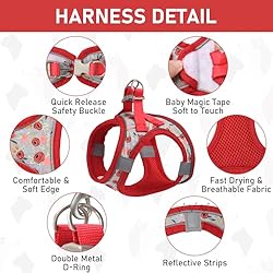 GAMUDA Small Pet Harness Collar and Leash Set, Step