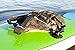 Seattle Sports Lashmates SuperSuk Suction Cup Tie Down Attachment System - Lashing Points for Paddle Boards and Kayaks (Pair), Small, Black