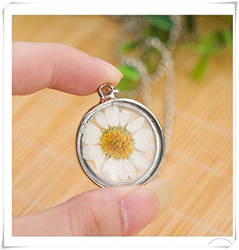 Real Flower Necklace, Glass cover， Real Dried Flowers, Birthday Gift - Thumbnail 5