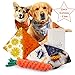 Dog Bandana for Medium to Large Pets - Premium Set 2 Reversible Cute Style Cotton Puppy Scarves Triangle Accessories with Adjustable Snap Closure and 1 Carrot Rope Bite Resistant Chew Toy Dental Care